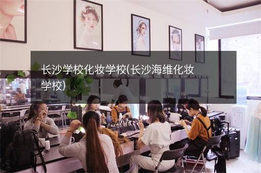 长沙学校化妆学校(长沙海维化妆学校)