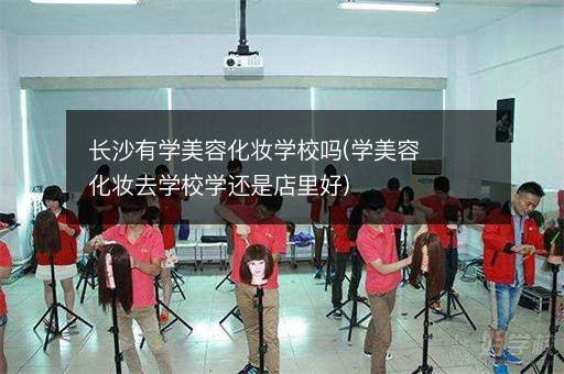 长沙有学美容化妆学校吗(学美容化妆去学校学还是店里好)