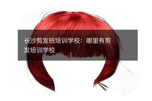 长沙剪发班培训学校：哪里有剪发培训学校