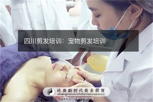 四川剪发培训：宠物剪发培训